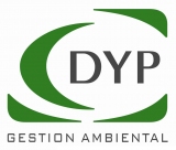 DYP Ingenieria SA