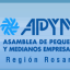 II Ronda de Negocios APYME