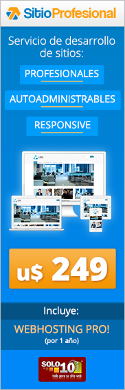 Sitio Profesional en Solo10