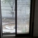 MICROPERFORADA DOMICILIARIA