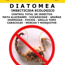 AFICHE YEAR ALACRAN NEGOCIO